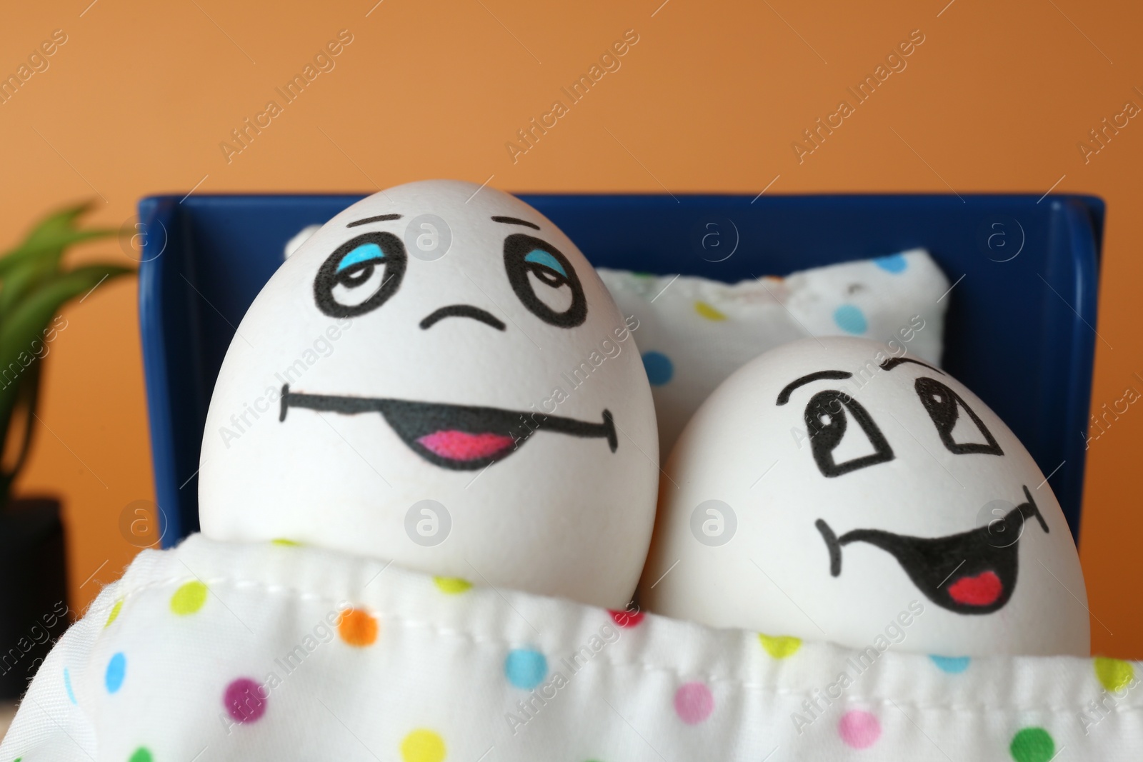 Photo of Eggs with drawn happy faces in small bed, closeup