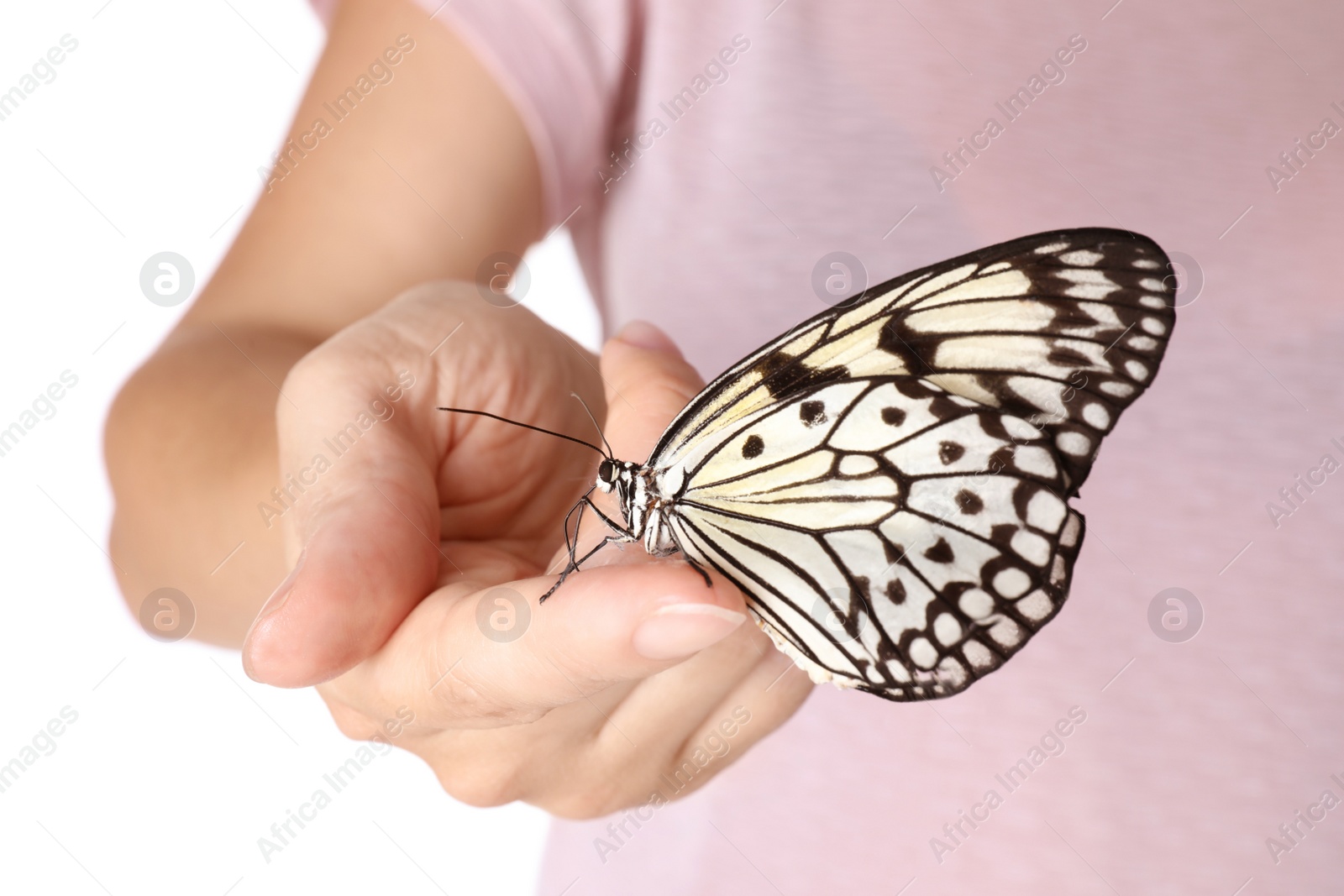 Photo of Woman holding beautiful rice paper butterfly on white background, closeup