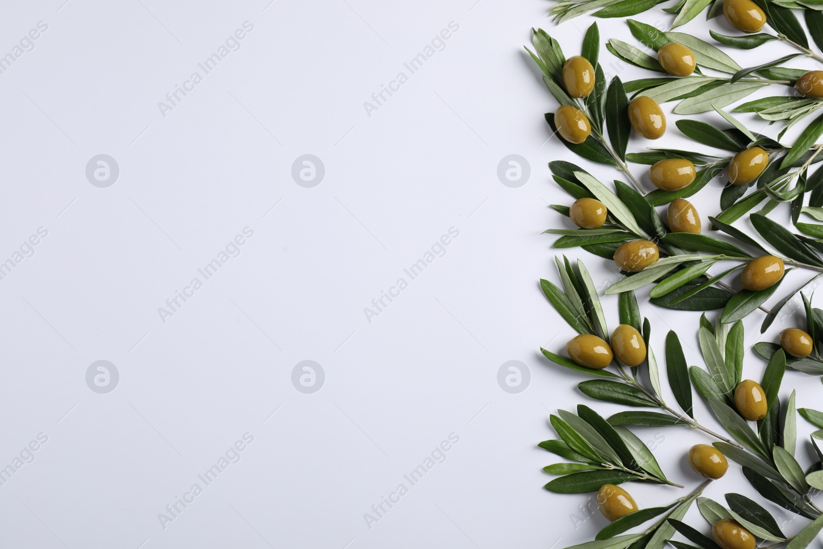 Photo of Twigs with olives and fresh green leaves on white background, flat lay. Space for text