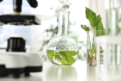 Photo of Laboratory glassware with plants on table. Biological chemistry