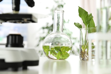 Laboratory glassware with plants on table. Biological chemistry