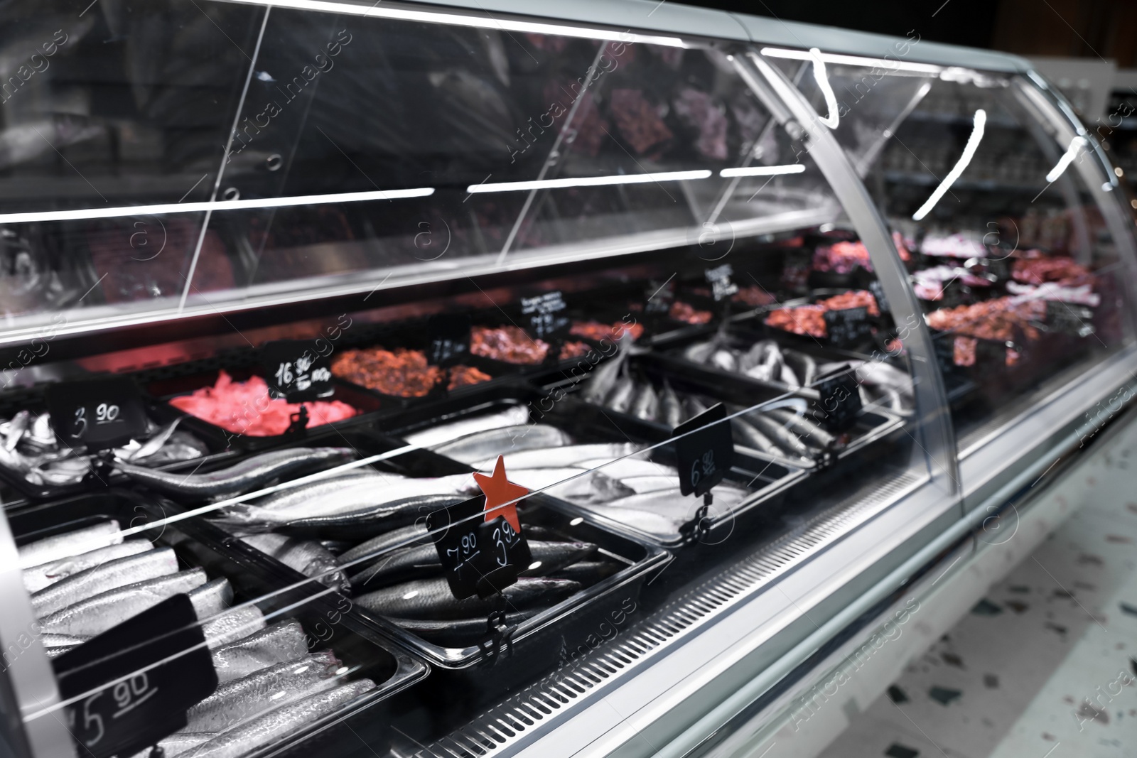 Photo of Showcase with different types of fresh fish in supermarket