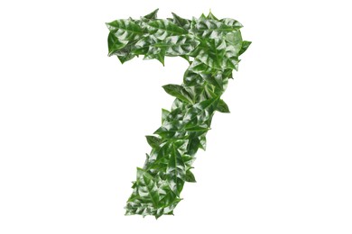 Image of Number 7 made of fresh green leaves on white background