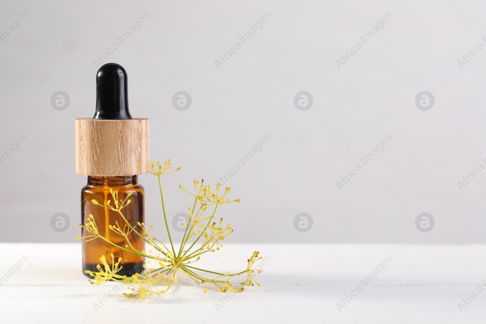 Photo of Bottle of essential oil and fresh dill on white table, space for text