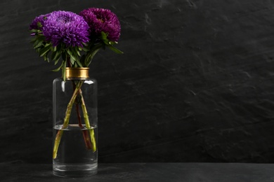 Photo of Beautiful asters in vase on table against black background, space for text. Autumn flowers