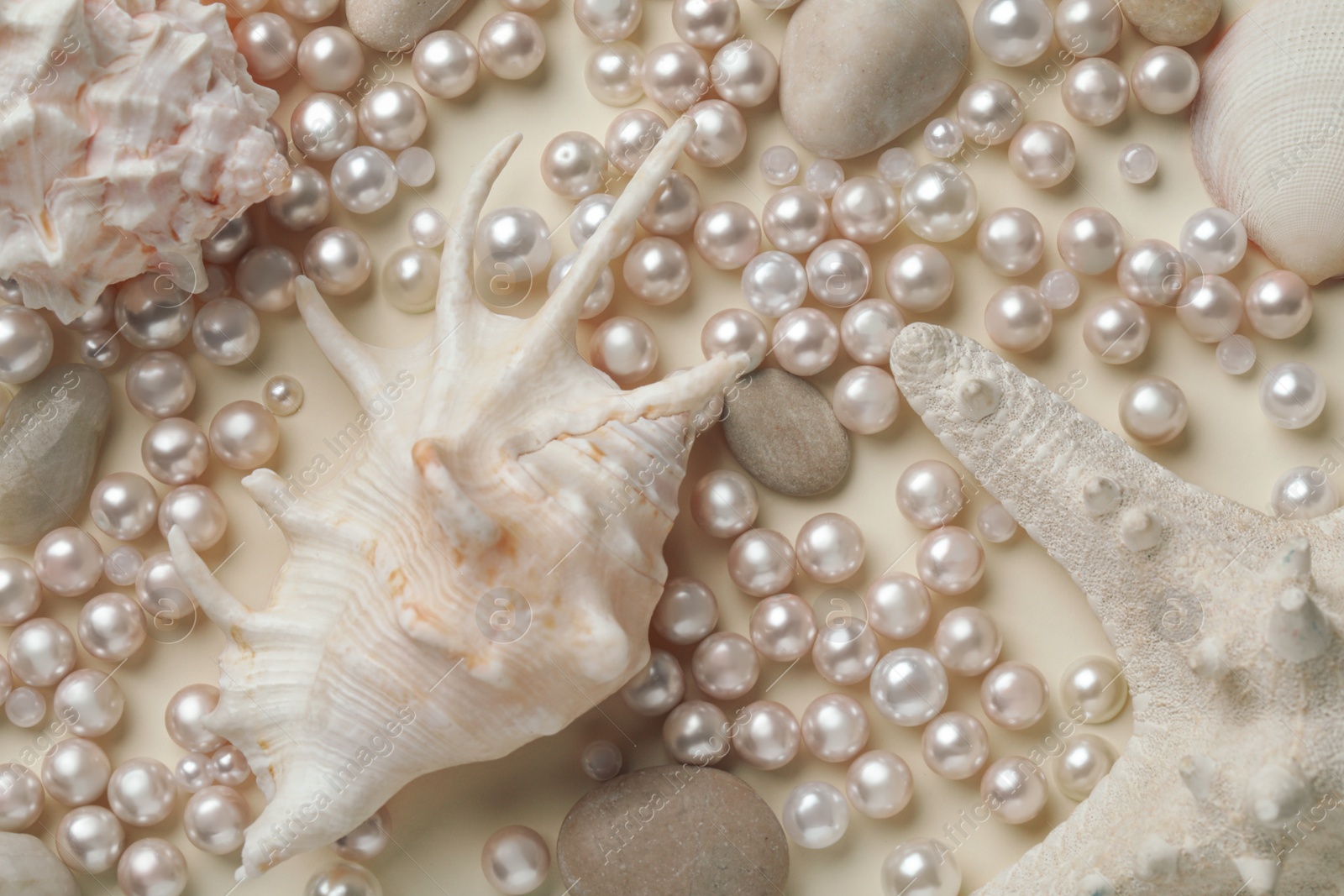Photo of Beautiful sea shells, starfish, pebbles and pearls on beige background, flat lay