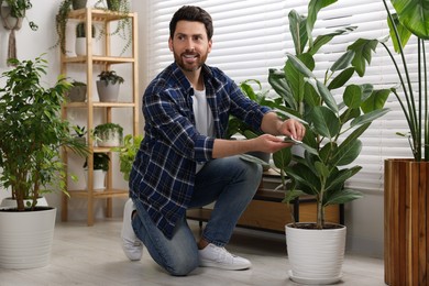 Man wiping leaves of beautiful potted houseplants indoors