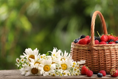 Wicker basket with different fresh ripe berries and beautiful chamomile flowers on wooden table outdoors