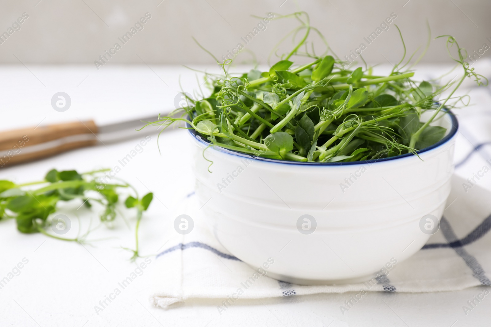 Photo of Bowl with fresh microgreen on white table, closeup