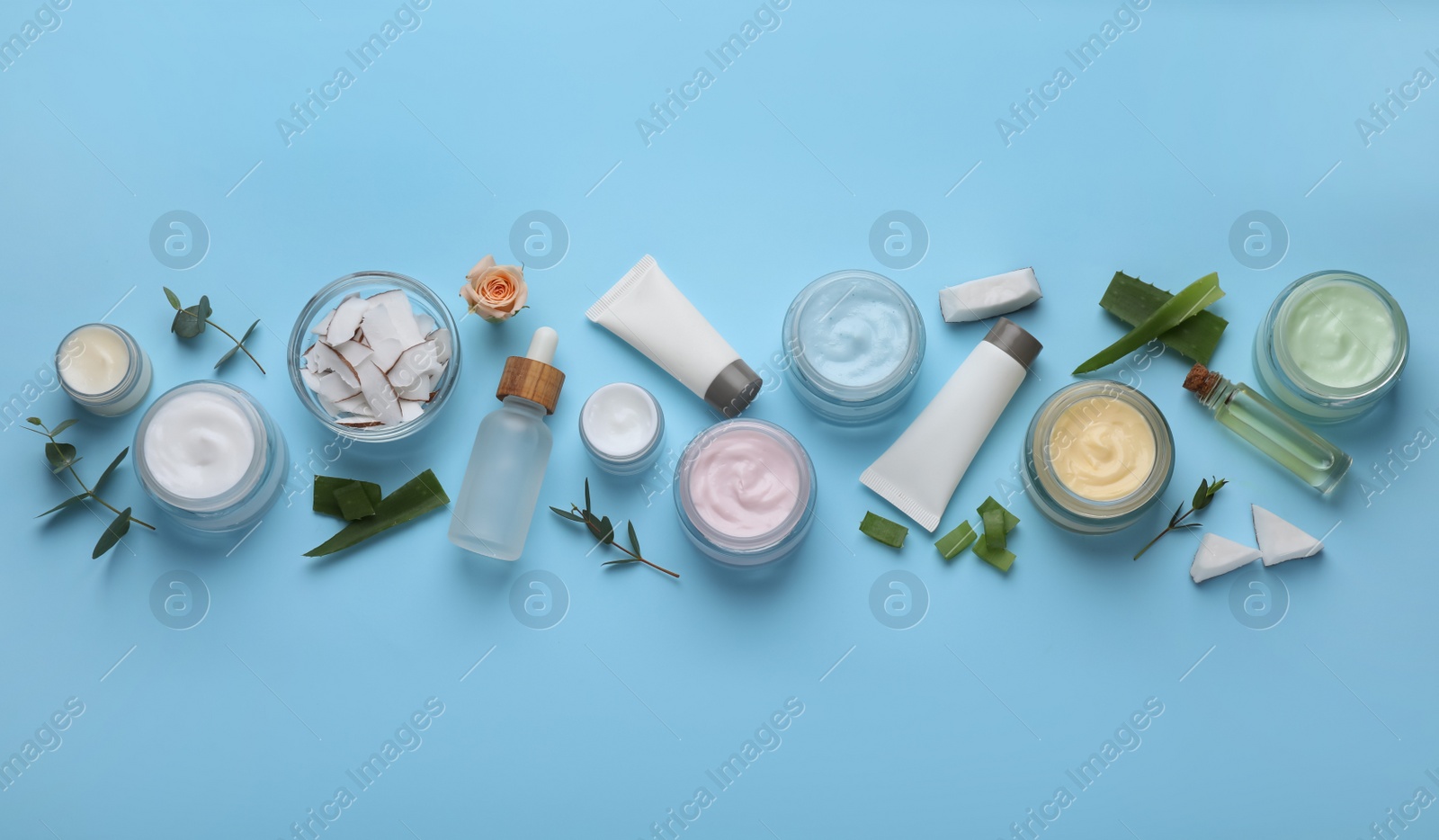 Photo of Body cream and other cosmetics with ingredients on light blue background, flat lay