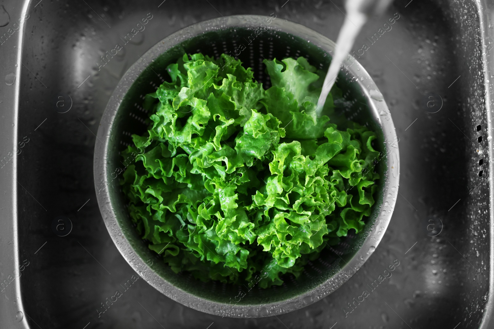 Photo of Pouring tap water into colander with lettuce in sink, top view