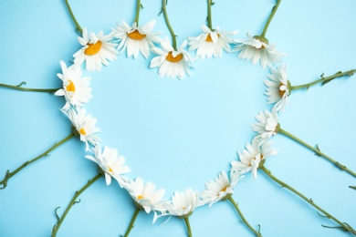 Heart made of beautiful chamomile flowers on color background