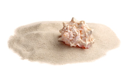 Pile of beach sand with sea shell isolated on white