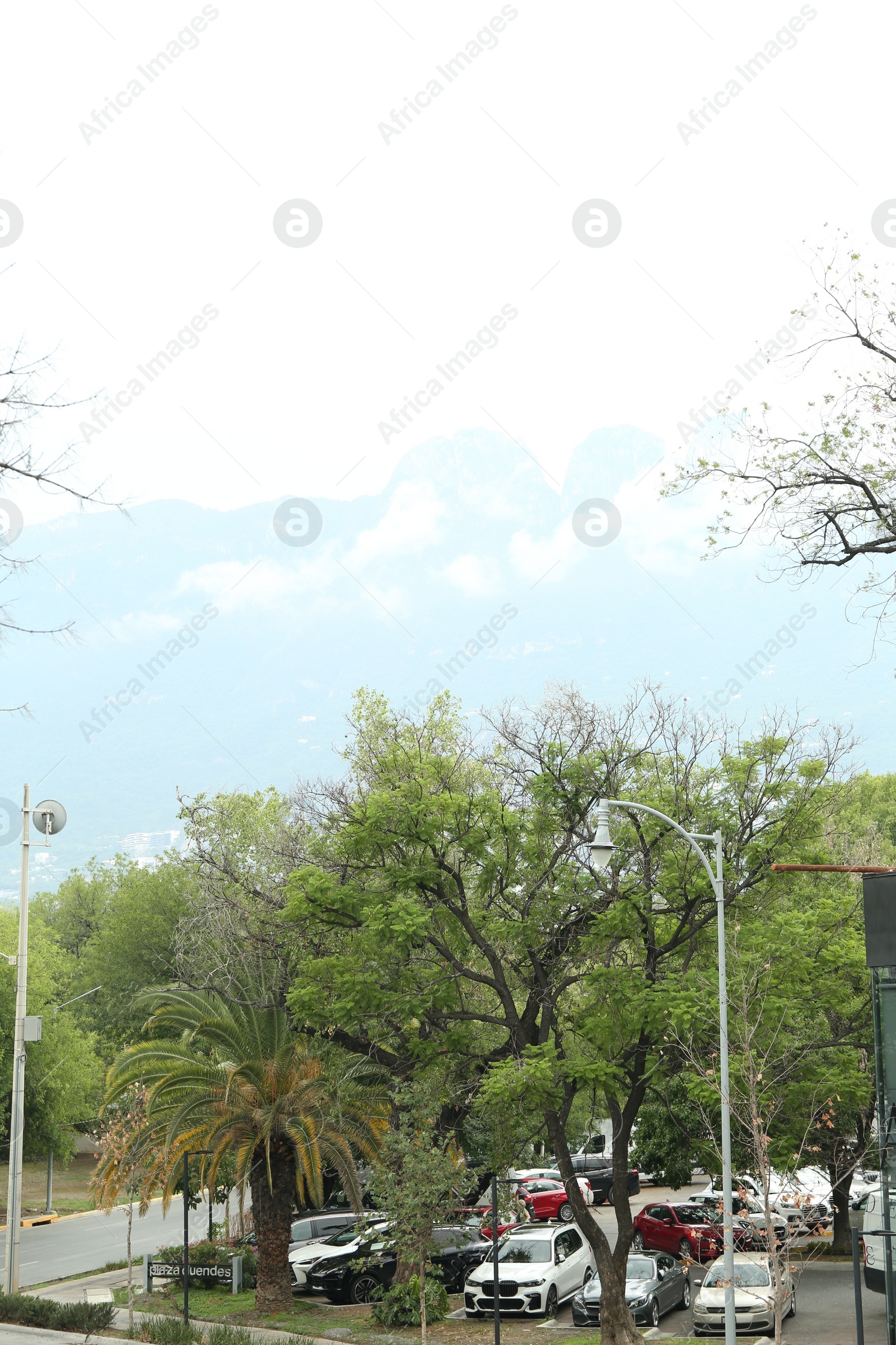 Photo of Mexico, San Pedro Garza Garcia - August 26, 2022: Many beautiful cars and trees