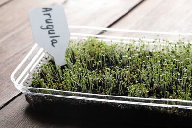 Young sprouts and card with word Arugula on wooden table, closeup