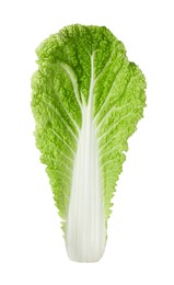 Photo of One fresh Chinese cabbage leaf isolated on white