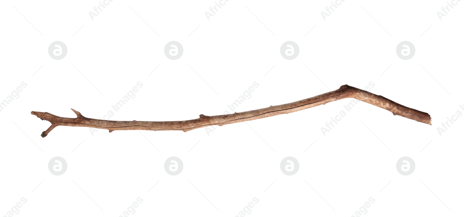 Photo of One old wooden stick isolated on white