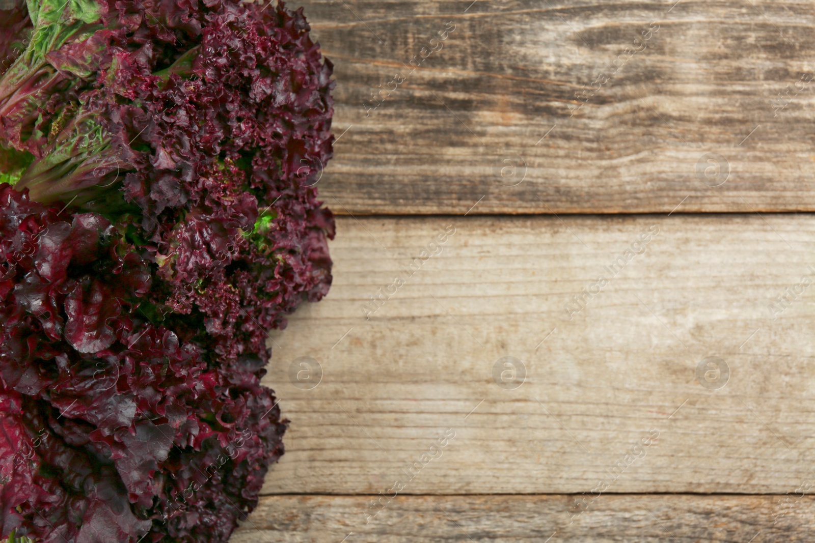 Photo of Fresh red coral lettuce on wooden table, top view. Space for text