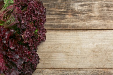 Fresh red coral lettuce on wooden table, top view. Space for text