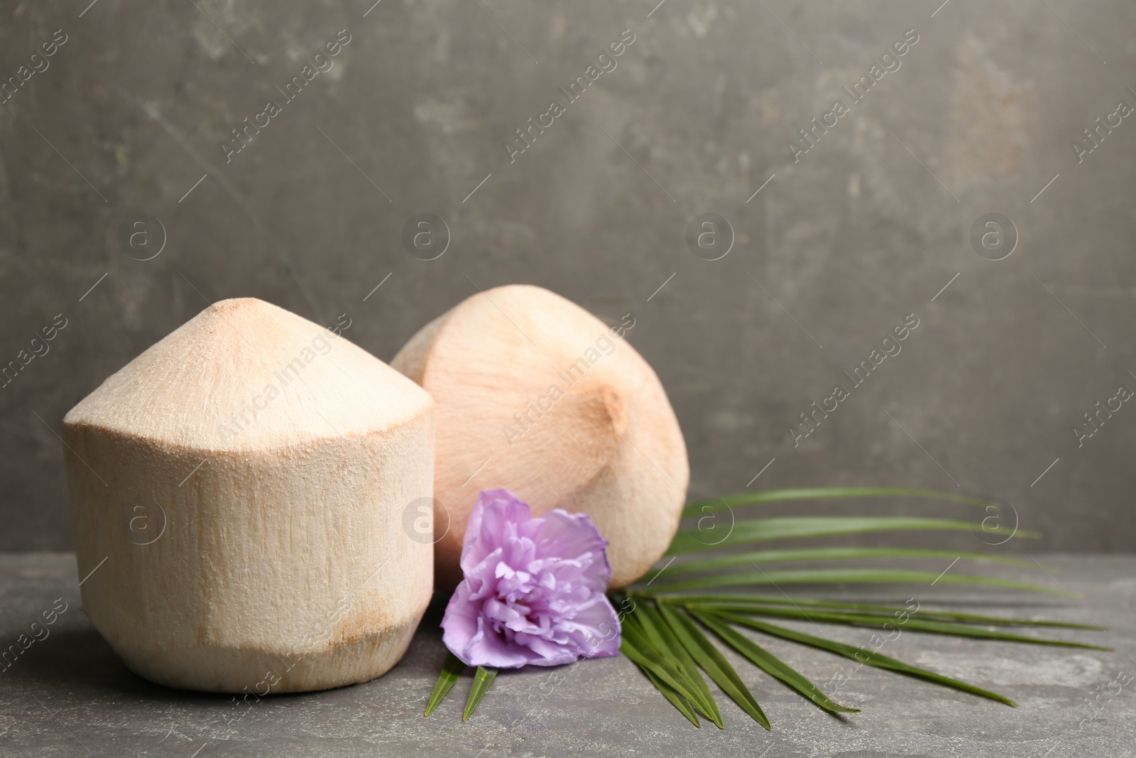 Photo of Young peeled coconuts with palm leaf and beautiful flower on grey table. Space for text