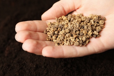 Woman holding pile of beet seeds over soil, closeup. Vegetable planting