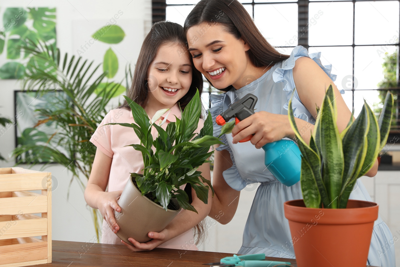 Photo of Mother and daughter taking care of plant at home