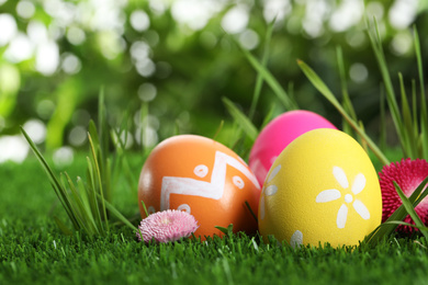 Colorful Easter eggs and daisy flower in green grass, closeup