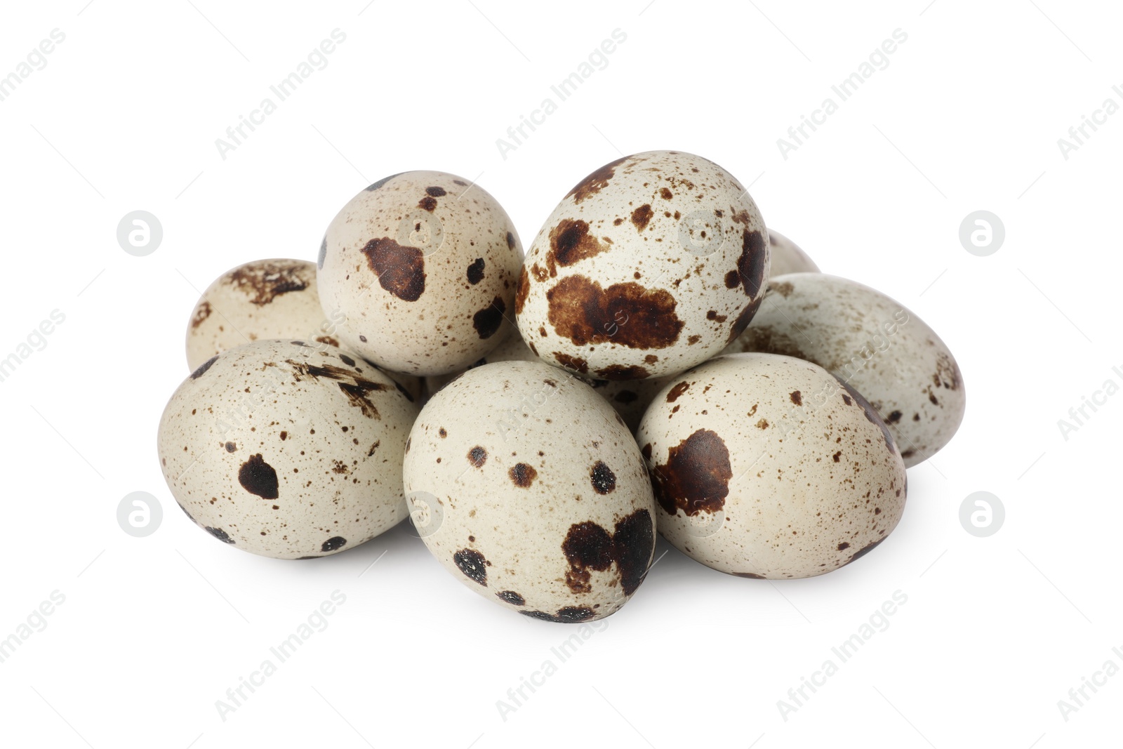 Photo of Many speckled quail eggs on white background