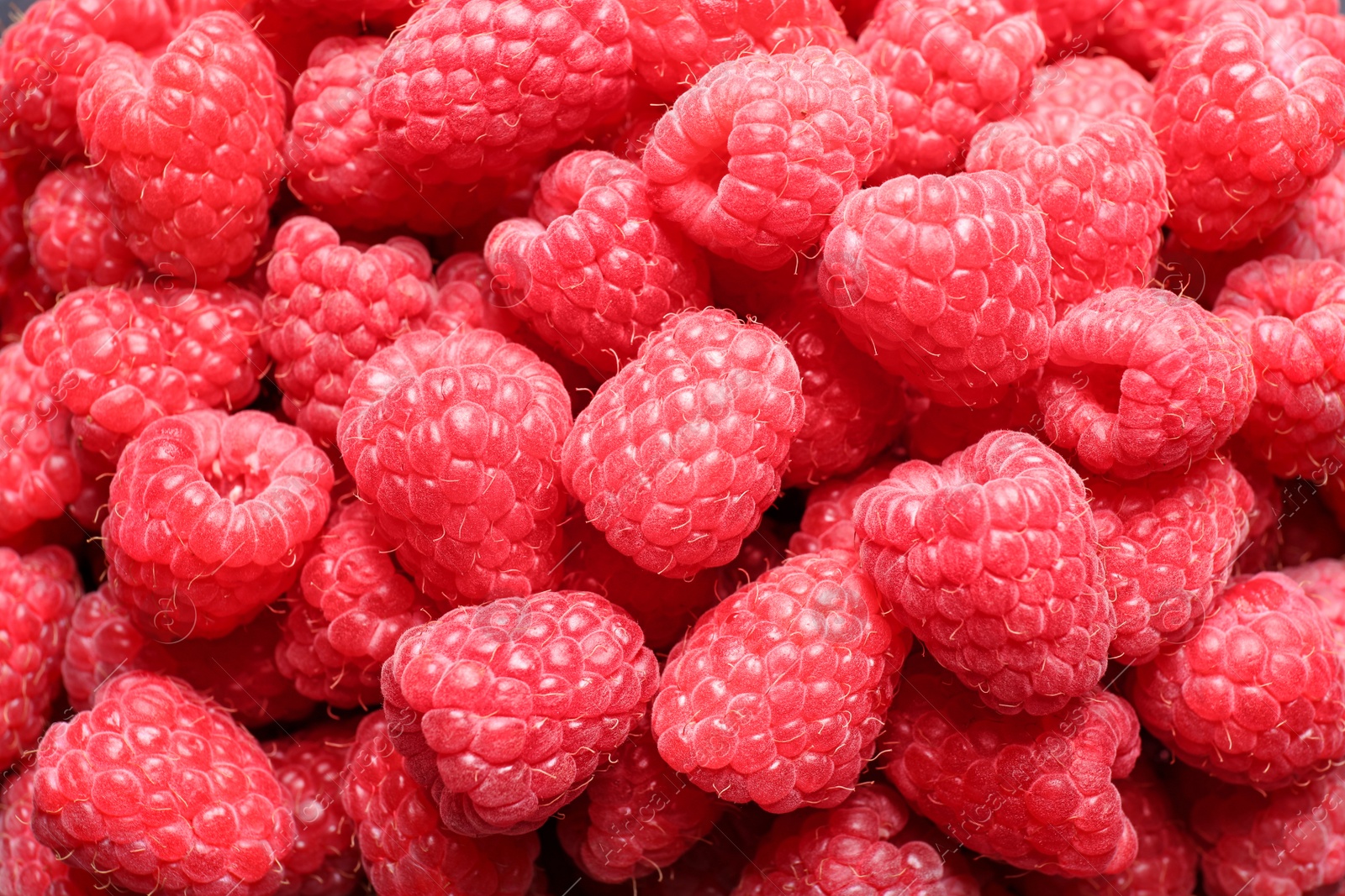 Photo of Fresh sweet ripe raspberries as background, closeup