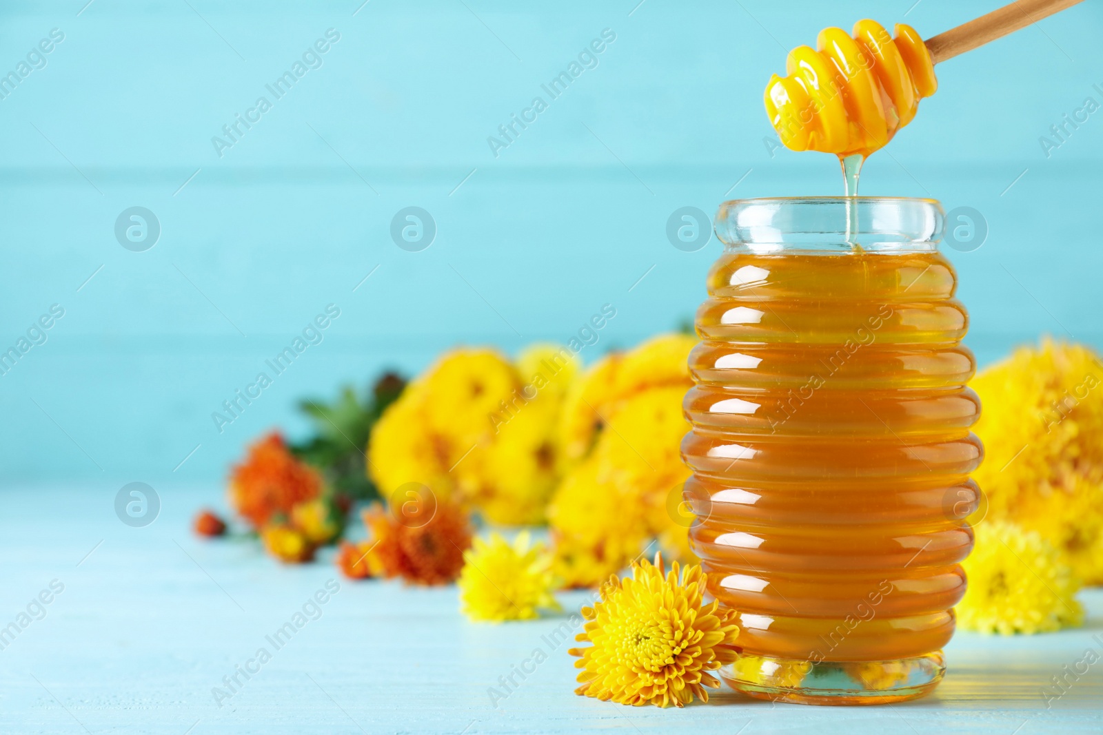 Photo of Tasty honey and chrysanthemum flowers on light blue table