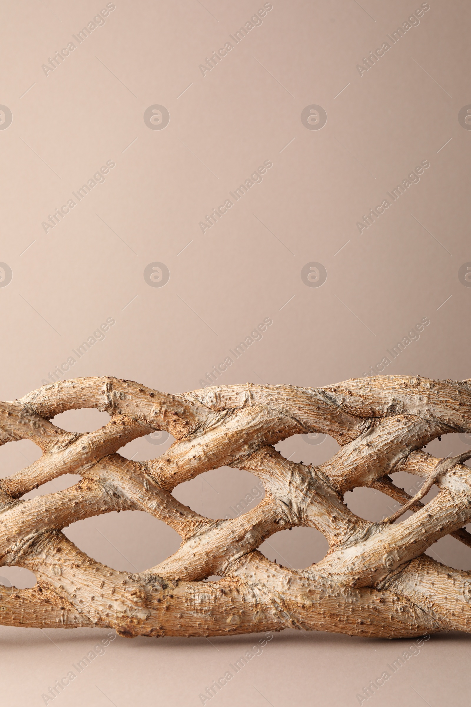 Photo of Presentation for product. Braided tree trunk on beige background. Space for text