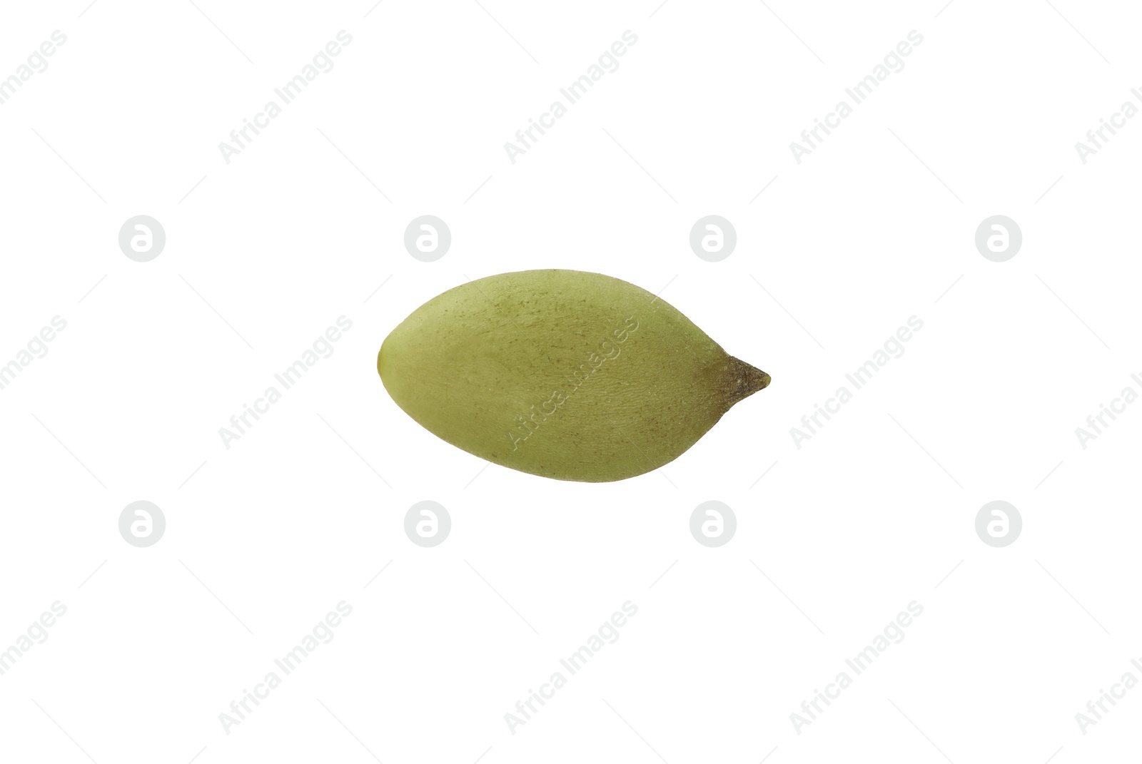 Photo of One peeled pumpkin seed isolated on white