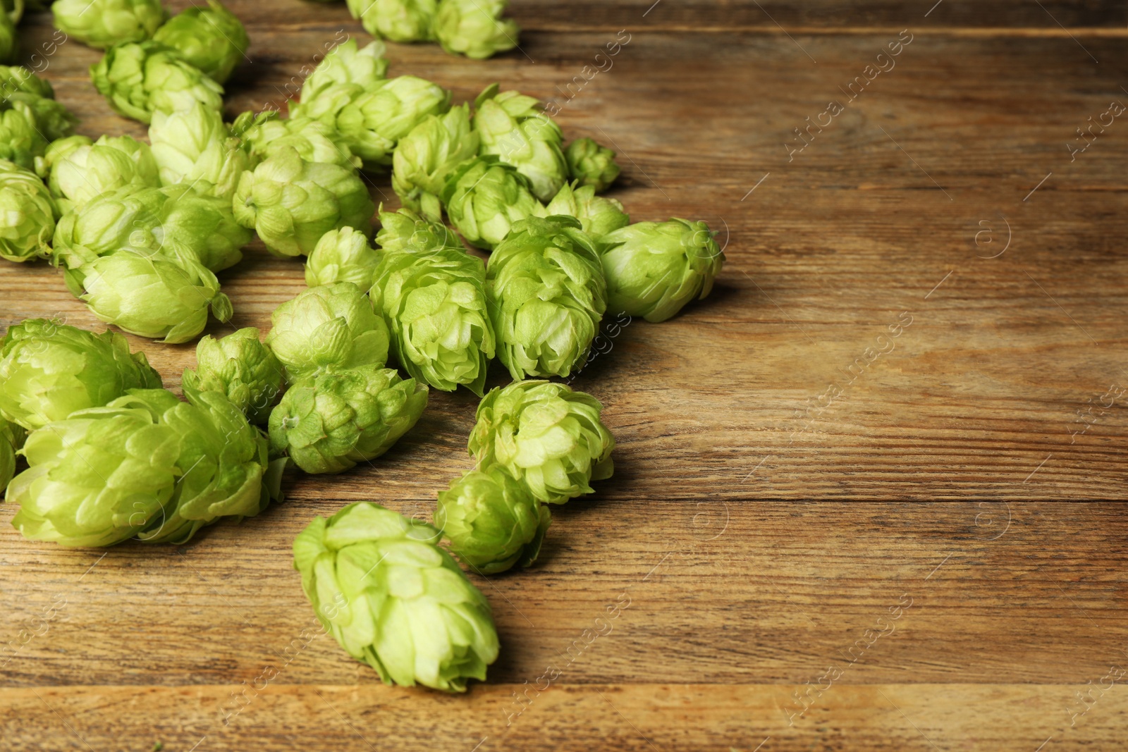 Photo of Fresh green hops on wooden table. Space for text