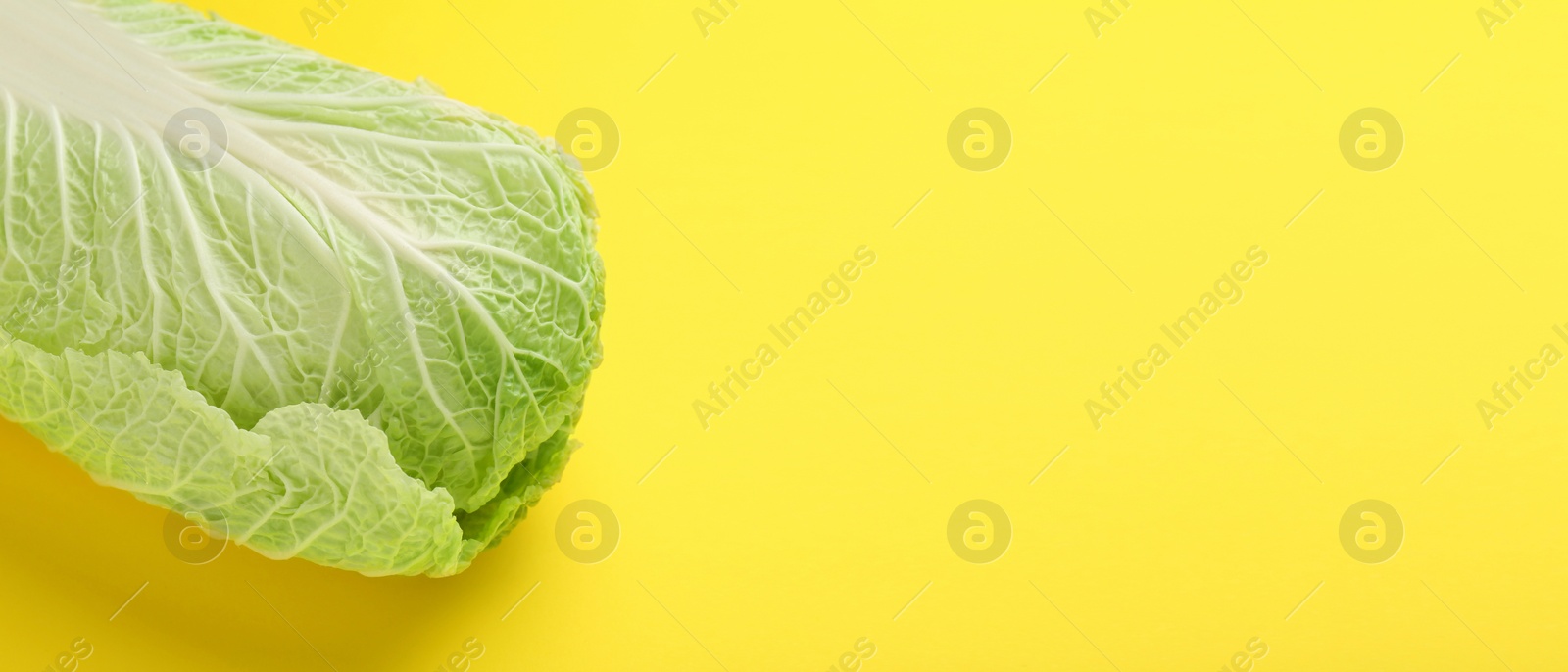 Image of Fresh ripe Chinese cabbage on yellow background, space for text. Banner design