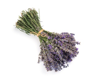 Beautiful blooming lavender flowers on white background