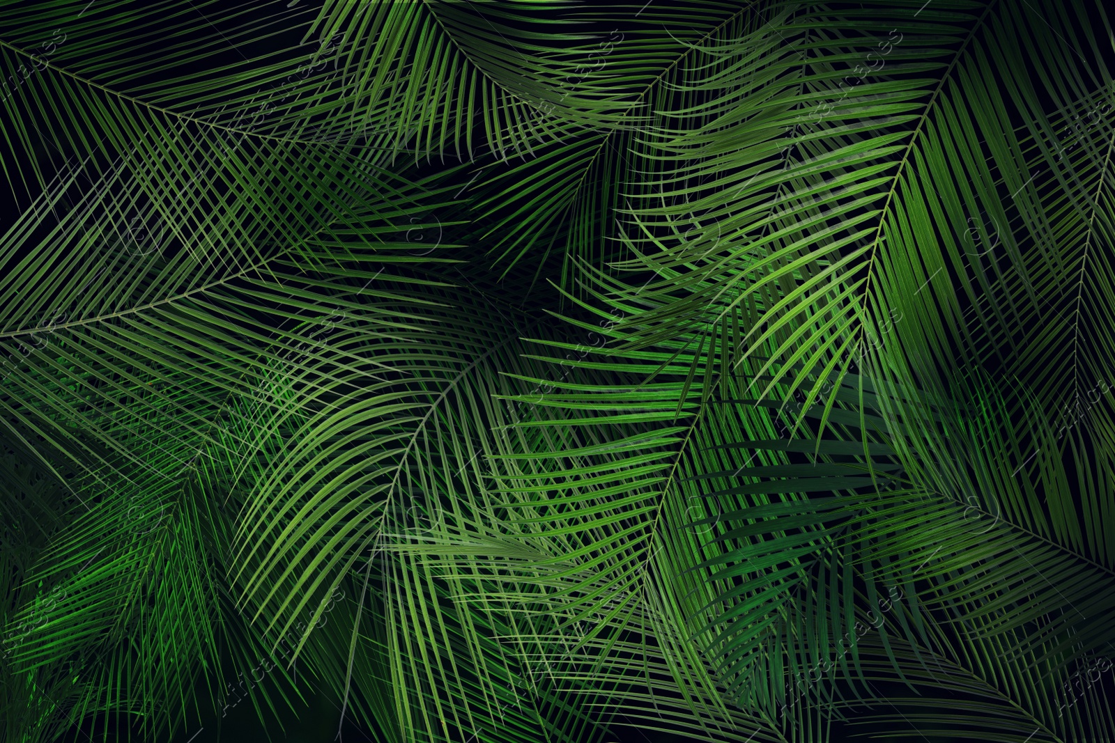 Image of Many bright green tropical leaves as background