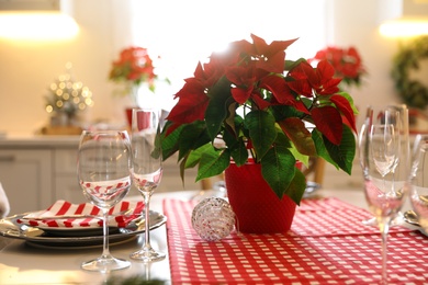 Photo of Beautiful Poinsettia and set of dishware on table in kitchen. Interior design