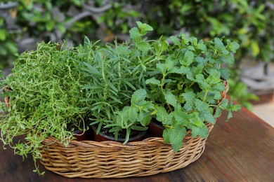 Wicker basket with fresh mint, thyme and rosemary on wooden table outdoors. Aromatic herbs