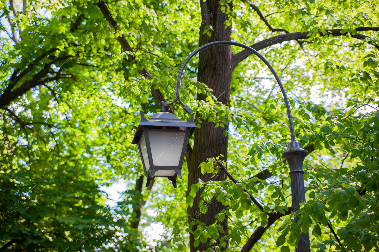 Photo of Beautiful street light lamp in park, low angle view