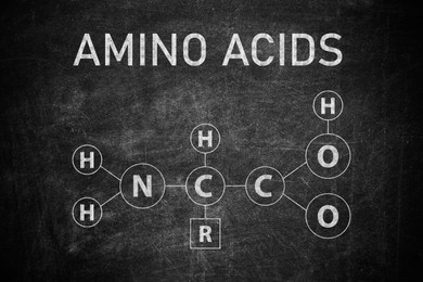 Text AMINO ACIDS and chemical formula written on blackboard 