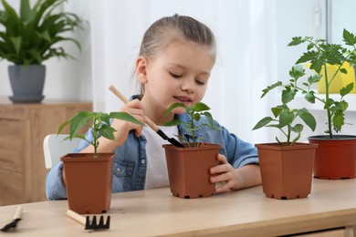 Photo of Cute little girl planting seedling into pot at wooden table in room