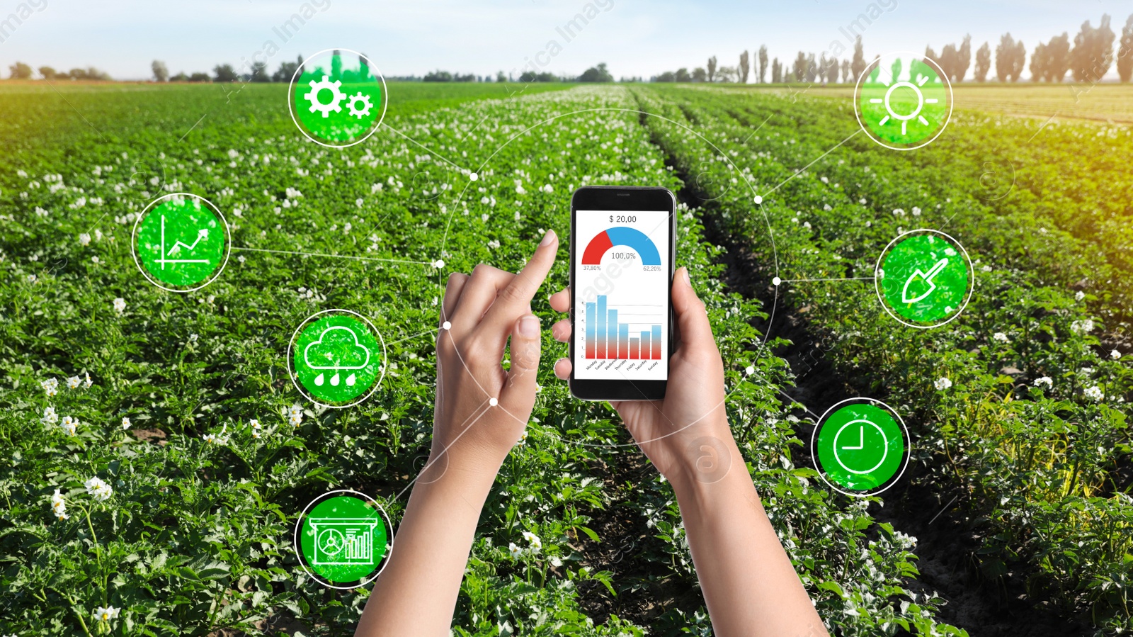 Image of Modern agriculture. Woman with smartphone in field and icons, closeup