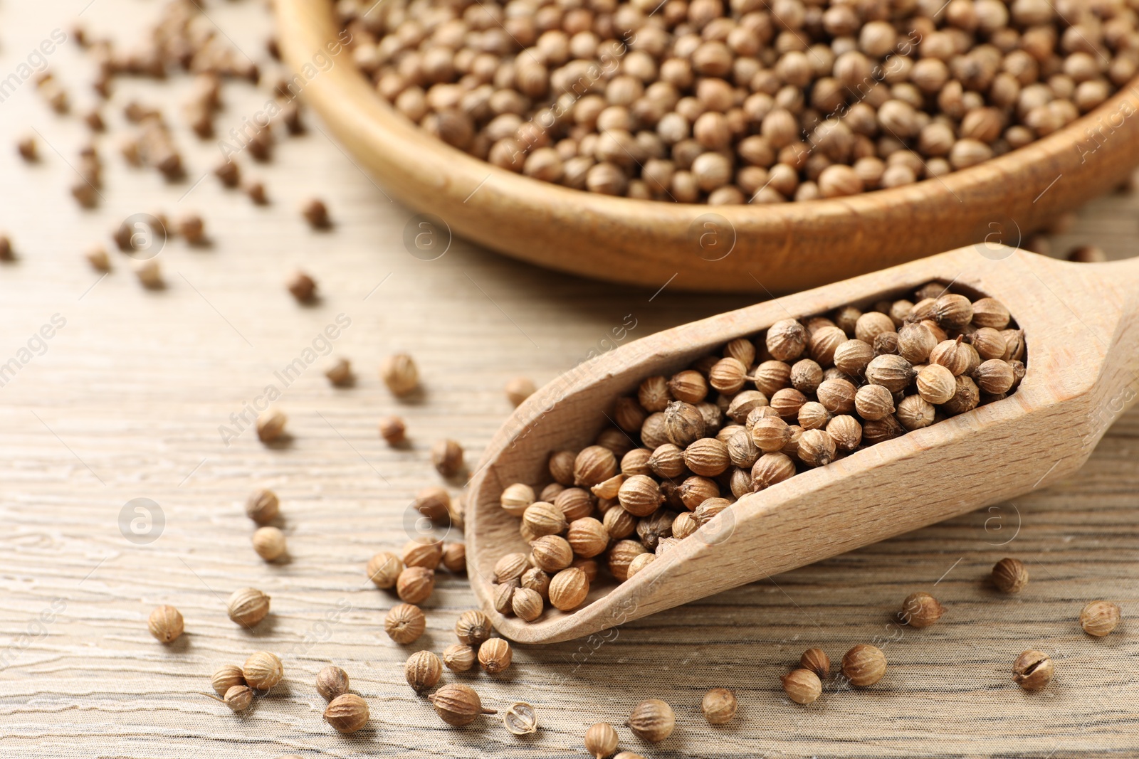 Photo of Dried coriander seeds in bowl and scoop on wooden table, closeup