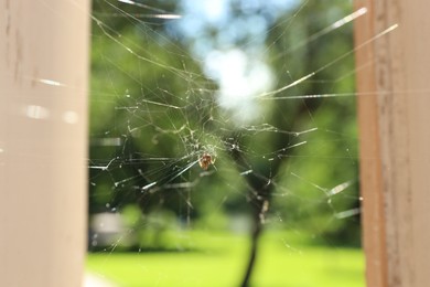 Photo of Cobweb and spider on building outdoors, closeup