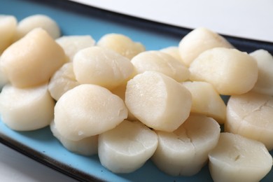 Photo of Fresh raw scallops on white table, closeup