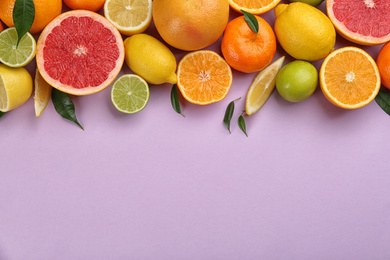 Photo of Flat lay composition with tangerines and different citrus fruits on lilac background. Space for text