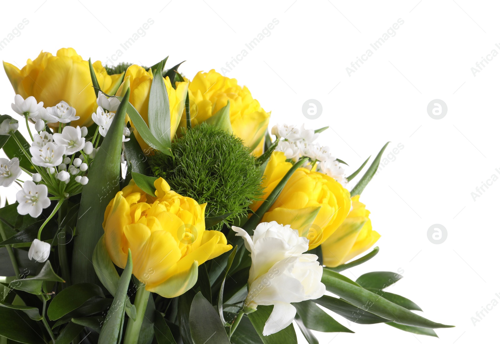 Photo of Beautiful bouquet with peony tulips on white background, closeup