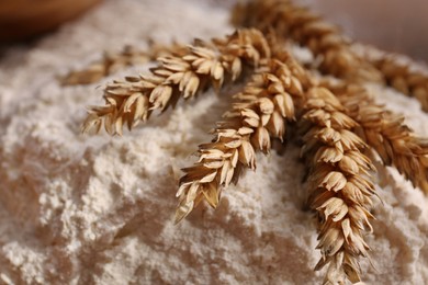 Photo of Pile of wheat flour and spikes, closeup view