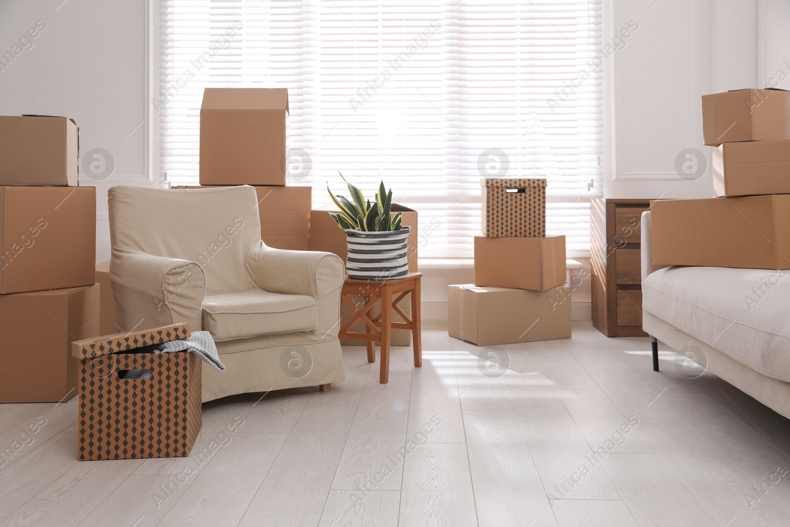 Photo of Furniture and cardboard boxes with packed stuff in room. Moving day