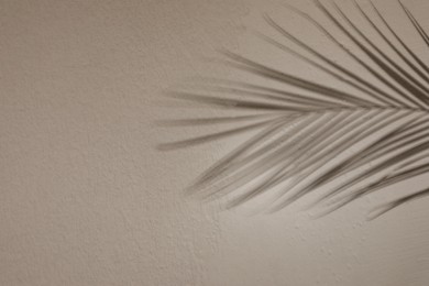 Photo of Shadow of tropical palm branch on light wall, space for text